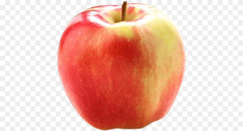 Ambrosia Apple, Food, Fruit, Plant, Produce Free Png Download