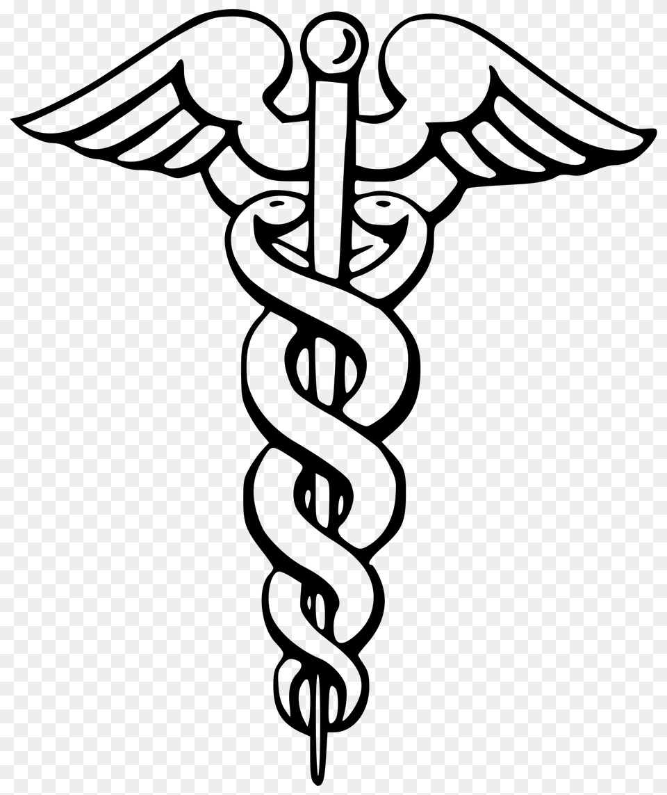 Ambulance Symbol With Snake Images, Gray Png Image