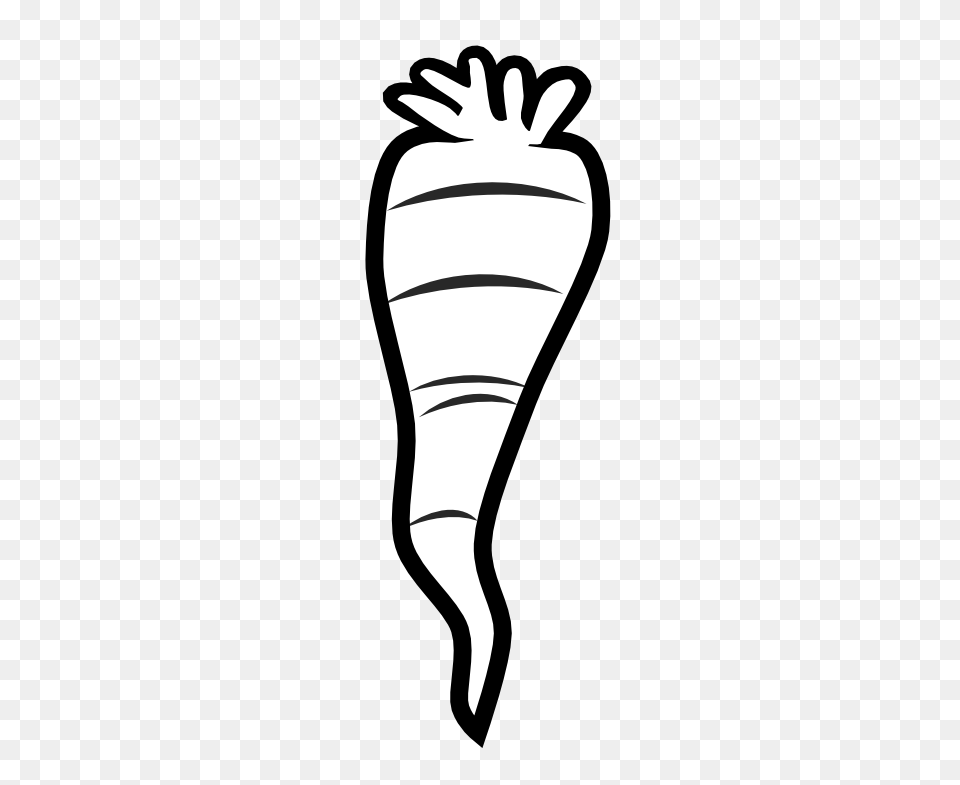 Amd Clipart, Carrot, Food, Plant, Produce Free Png
