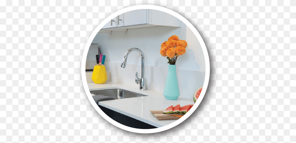 Amenities Water Tap, Sink, Sink Faucet, Flower, Plant Free Png