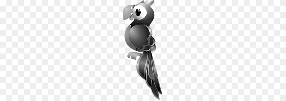 America Animal, Bird, Jay, Appliance Png Image