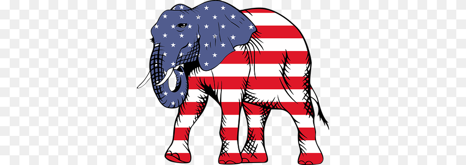 America Animal, Baby, Person, Wildlife Free Png