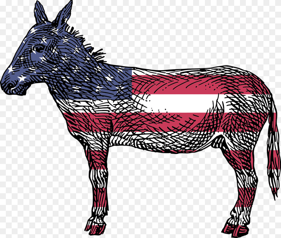 America Animal, Mammal, Donkey, Person Free Png