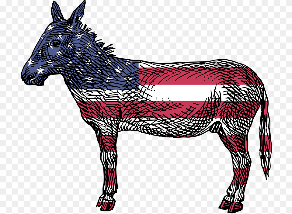 America Democrats Ass Democratic Donkey Flag American Donkey, Animal, Mammal Png Image