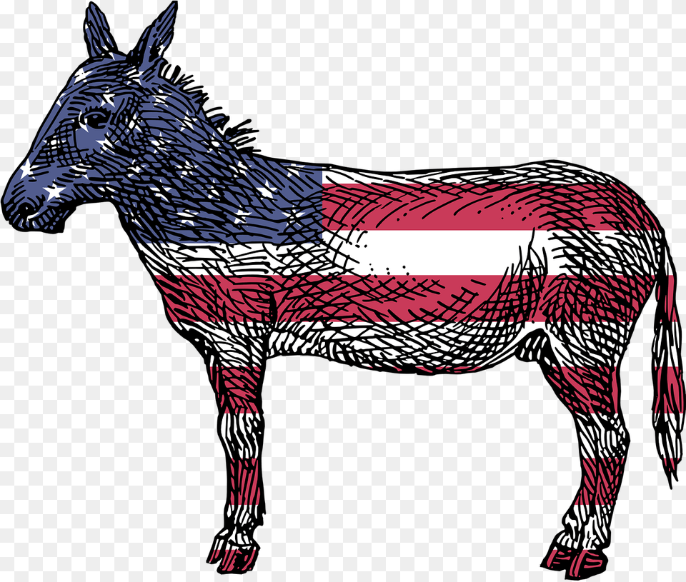 America Democrats Ass Democratic Donkey Flag Reasons To Vote For Democrats Book, Animal, Mammal Png Image