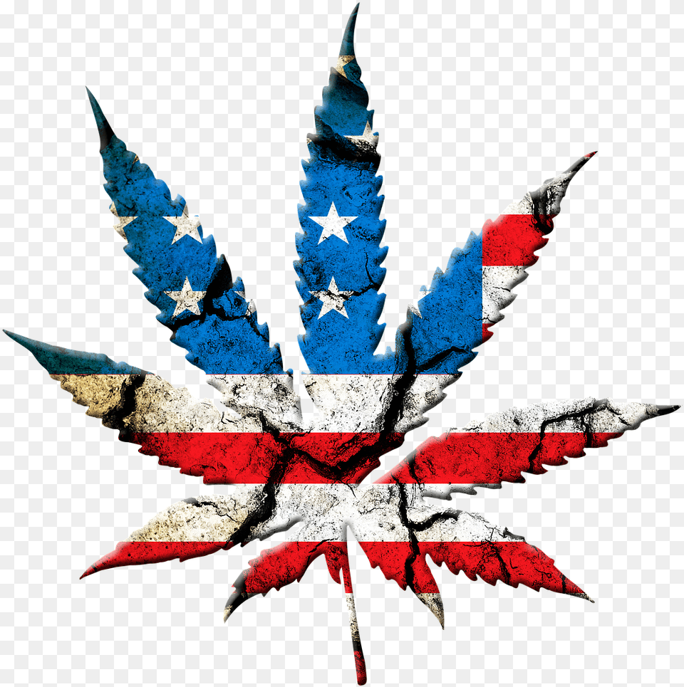 America Marijuana, Leaf, Plant, Art, Accessories Png Image