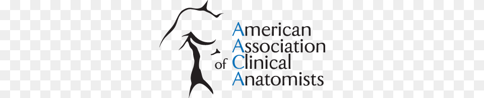 American Association Of Clinical Anatomists, People, Person, Text Free Png