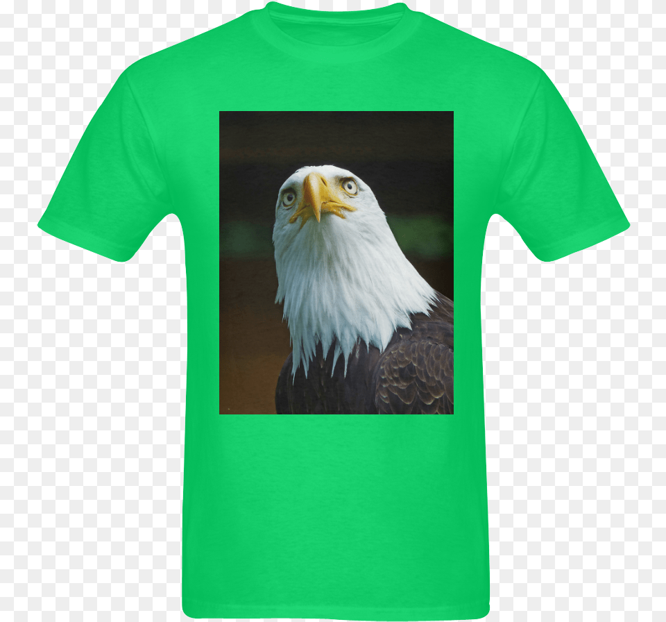 American Bald Eagle Head 001 03 Sunny Men S T Shirt Bald Eagle, Clothing, T-shirt, Animal, Bird Free Png Download