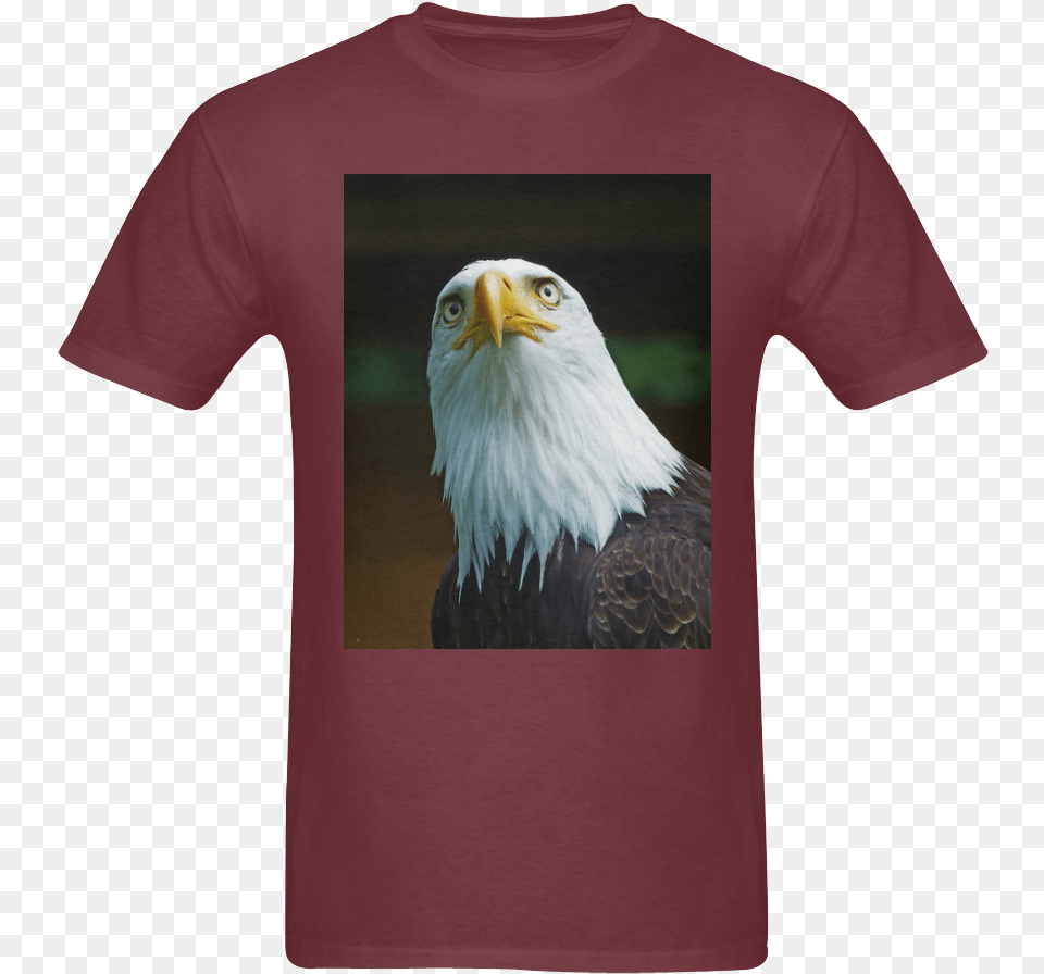 American Bald Eagle Head 001 10 Sunny Men S T Shirt T Shirt, Clothing, T-shirt, Animal, Bird Free Png Download