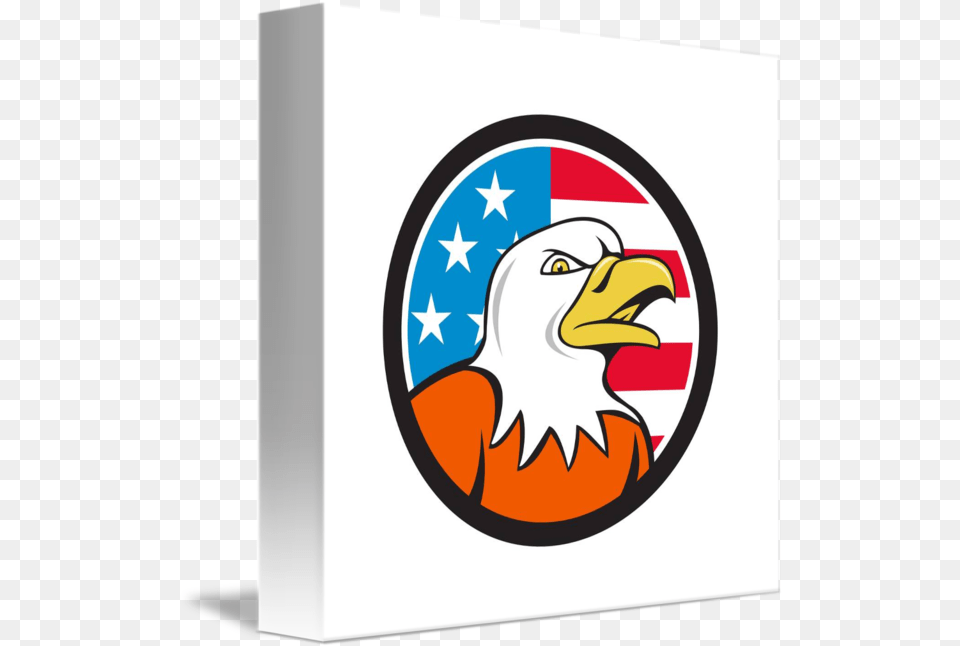 American Bald Eagle Head Angry Flag Bald Eagle, Animal, Bird, Person Png