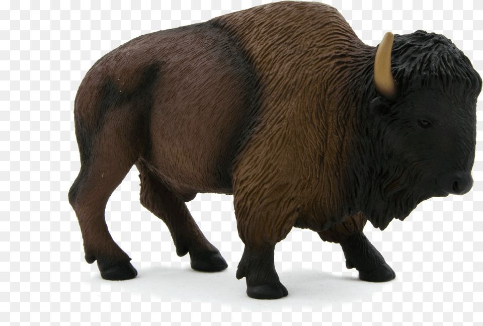 American Bison Buffalo Free Png