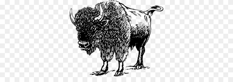 American Bison White Buffalo Mammal Computer Icons Bison Black And White, Gray Png