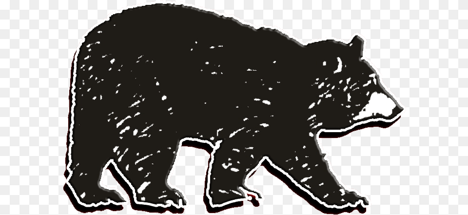 American Black Bear, Animal, Mammal, Wildlife, Black Bear Png Image