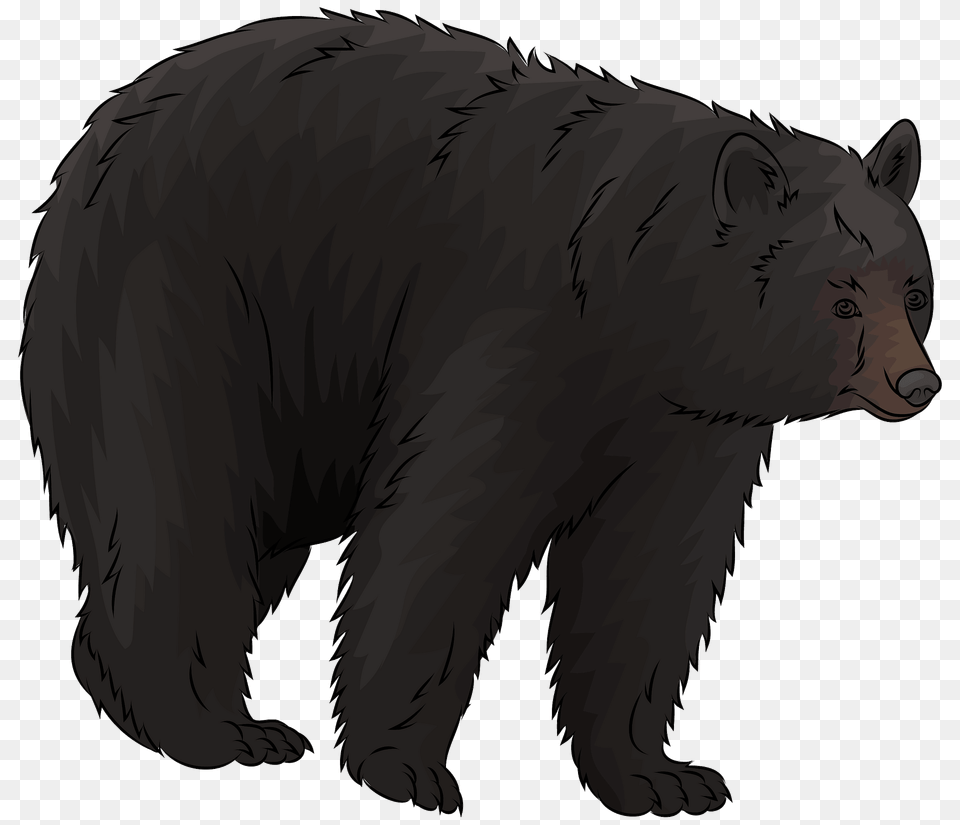 American Black Bear Clipart, Animal, Mammal, Wildlife, Black Bear Png Image