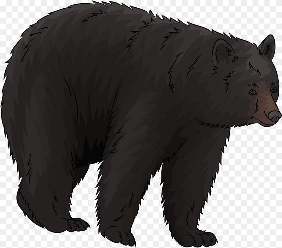 American Black Bear Clipart Black Bear Clipart, Animal, Mammal, Wildlife, Black Bear Png