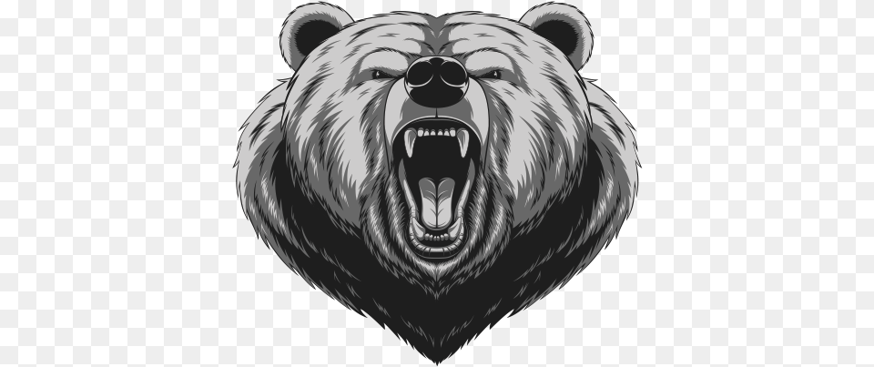 American Black Bear Drawing Angry Drawing Grizzly Bear, Animal, Mammal, Wildlife Free Transparent Png