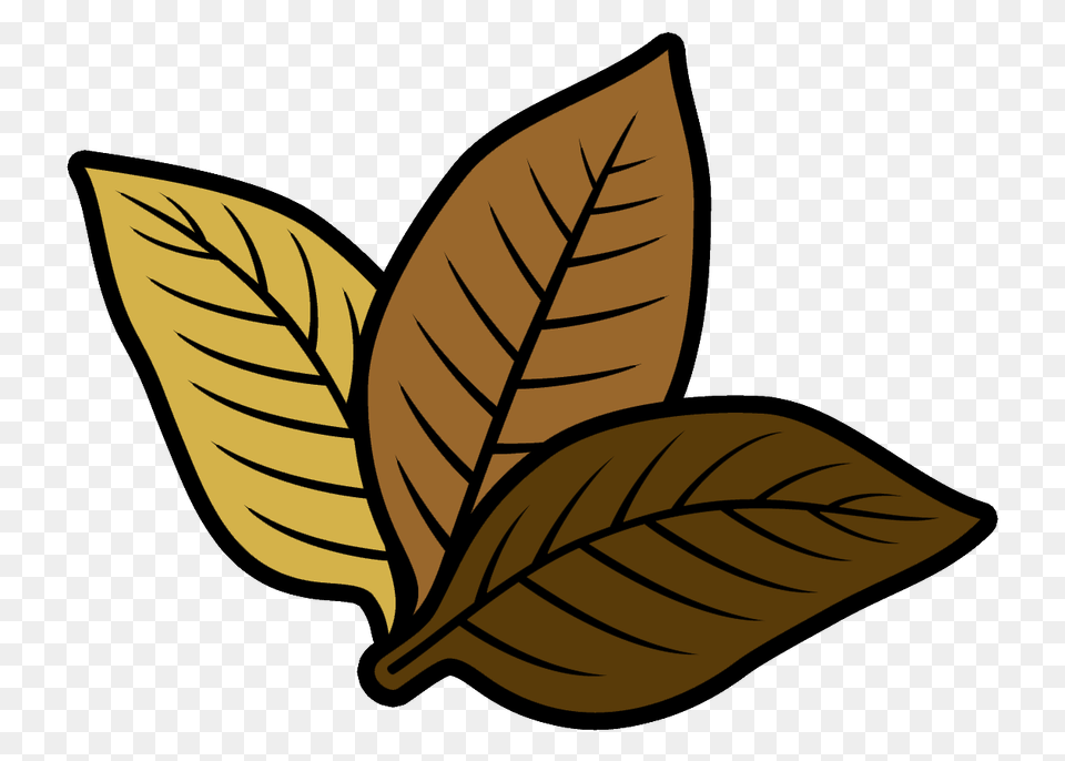 American Blends, Leaf, Plant, Tobacco Free Transparent Png