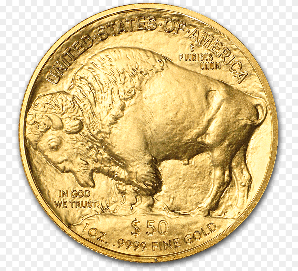 American Buffalo Gold Coin Reverse American Buffalo Gold Coin, Money, Baby, Person Free Png
