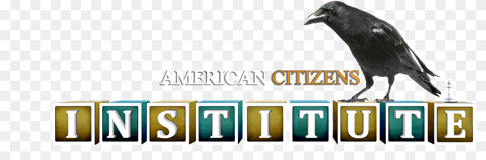American Citizens Institute Logo American Crow, Animal, Bird, Blackbird, Beak Free Png Download