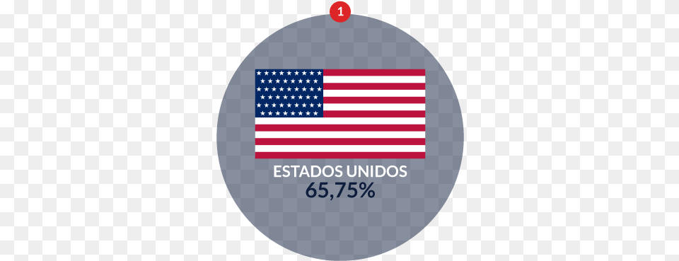 American Community Survey 2010 Para El Dato De Estados Usa, American Flag, Flag Free Transparent Png