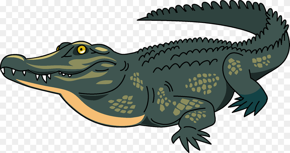 American Crocodile, Animal, Reptile, Fish, Sea Life Free Png