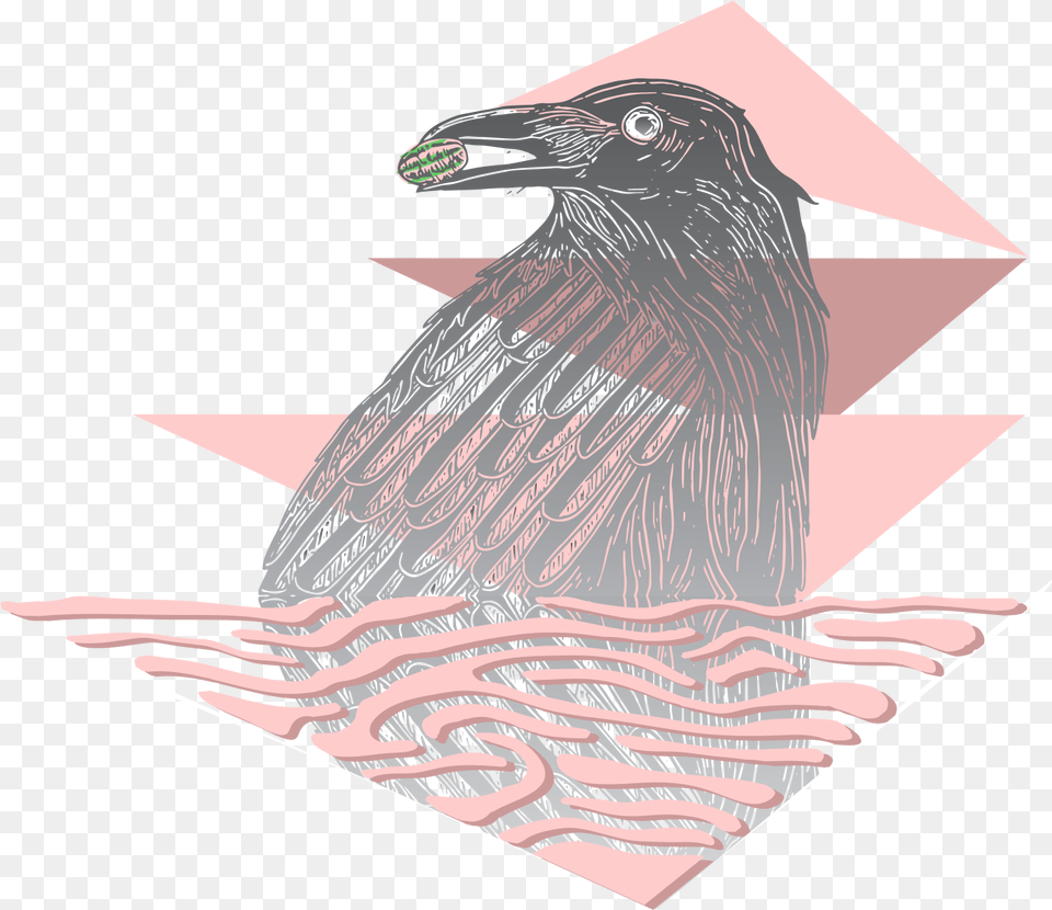 American Crow, Animal, Beak, Bird, Art Free Png