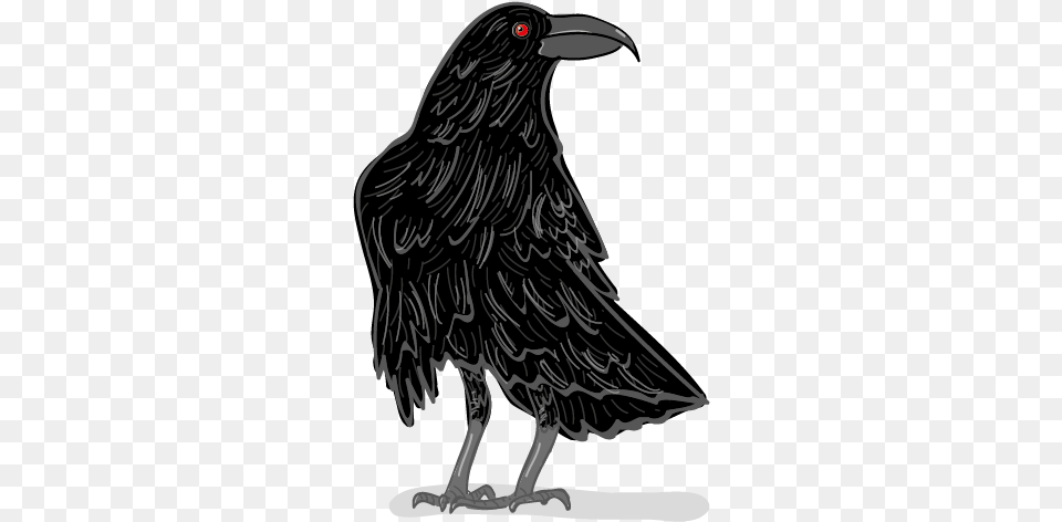 American Crow, Animal, Beak, Bird, Blackbird Png Image