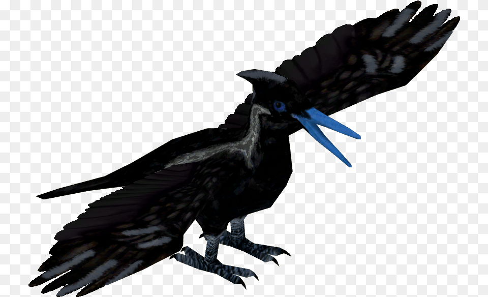 American Crow, Animal, Beak, Bird, Blackbird Free Png