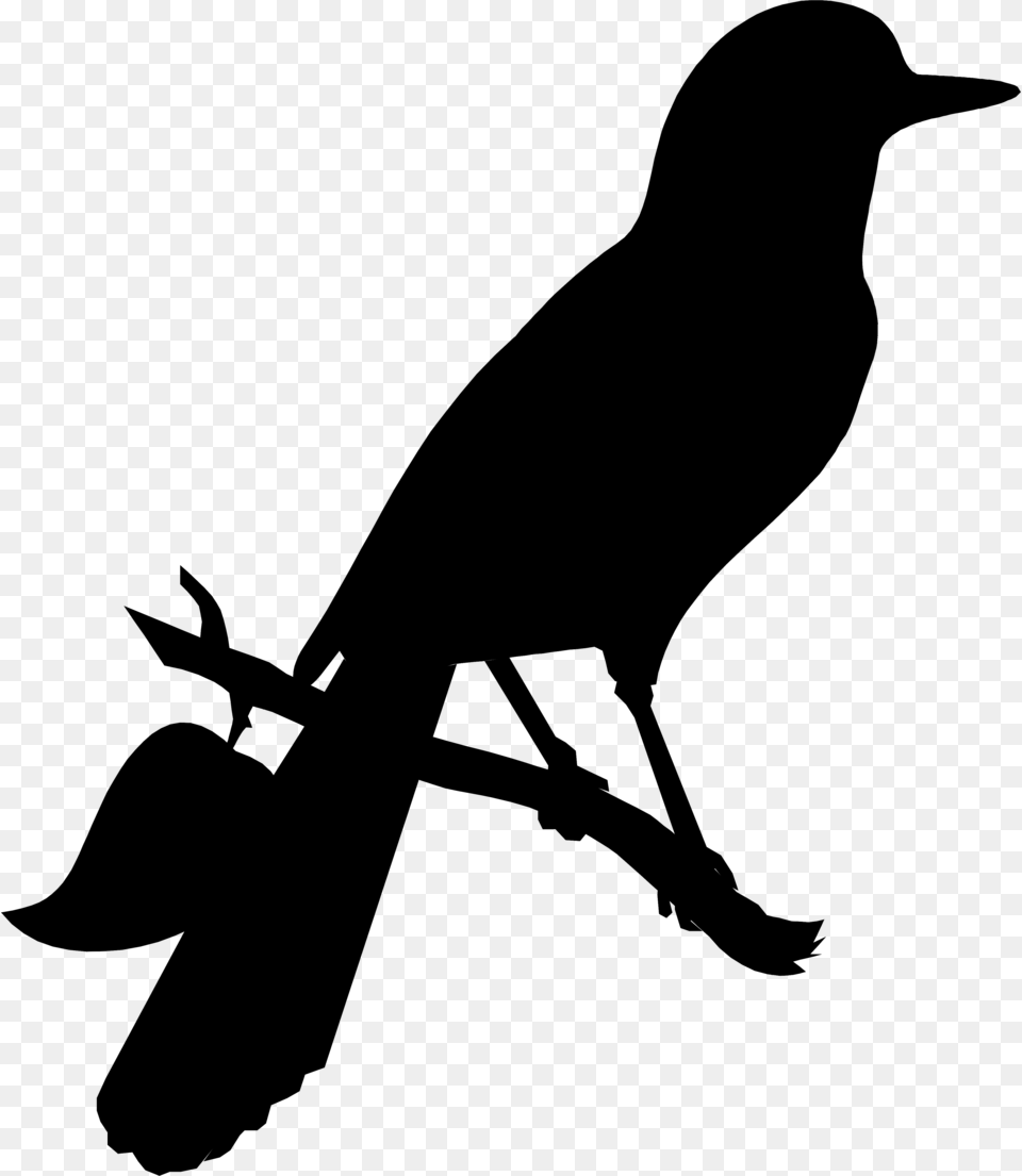 American Crow Clip Art Advertising Fauna Silhouette Raven, Gray Png Image