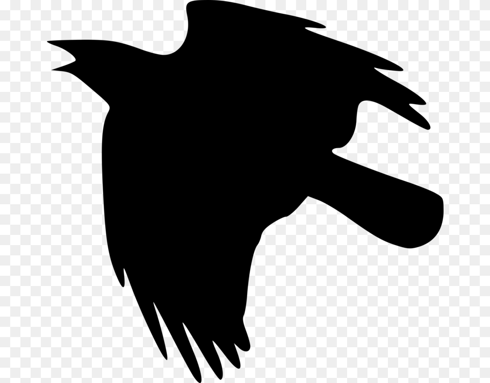 American Crow Common Raven Crow Family Bird, Gray Png
