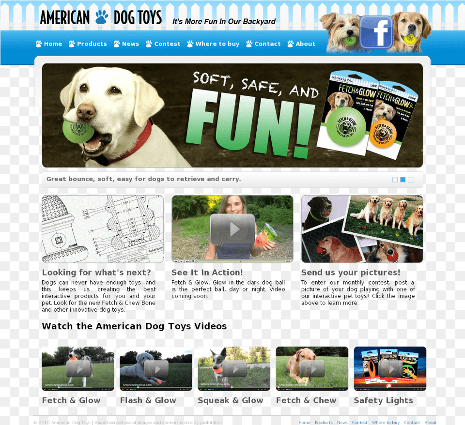 American Dog Toys Competitors Revenue And Employees Dog Games, Adult, Pet, Person, Mammal Free Transparent Png