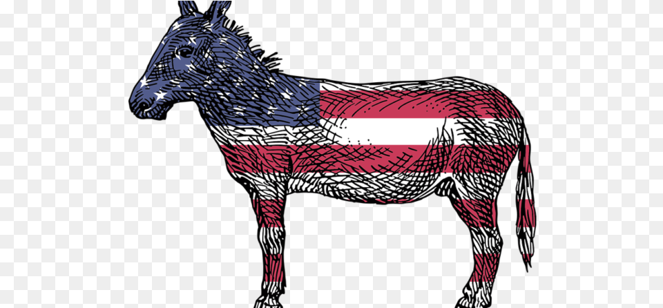 American Donkey, Person, Animal, Mammal Free Png