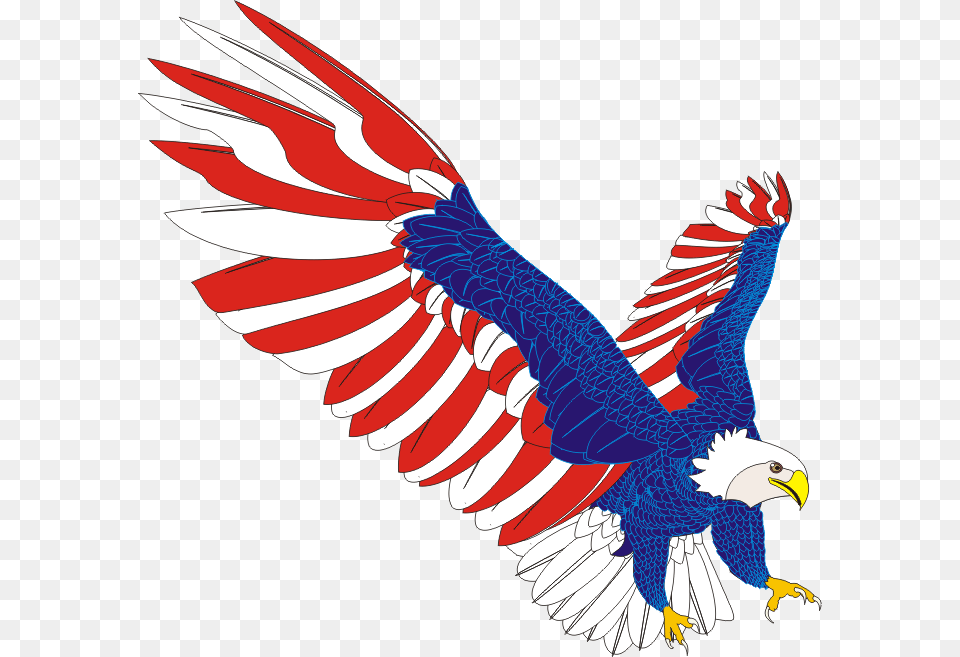 American Eagle, Animal, Bird, Flying Free Png Download