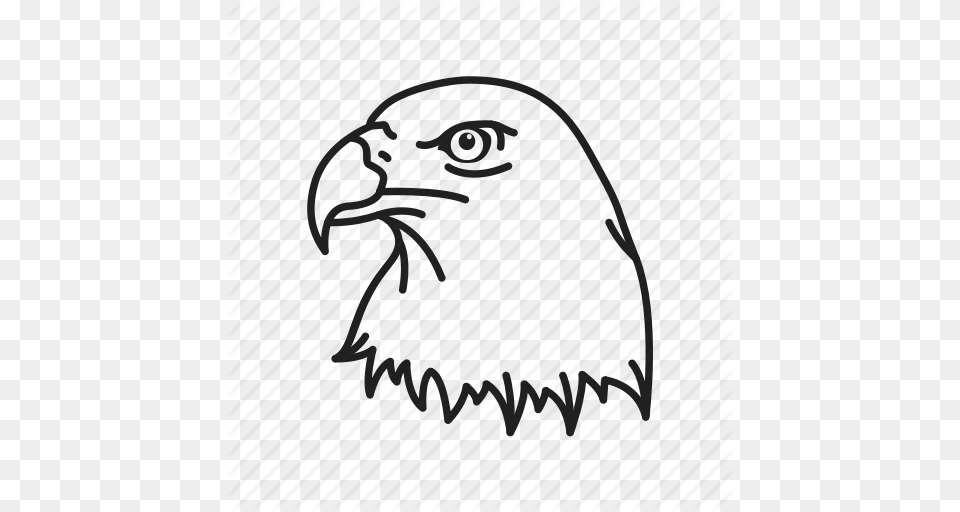 American Eagle Bald Eagle Bird Eagle Eagle Head Independence, Gate, Text, Logo Free Transparent Png