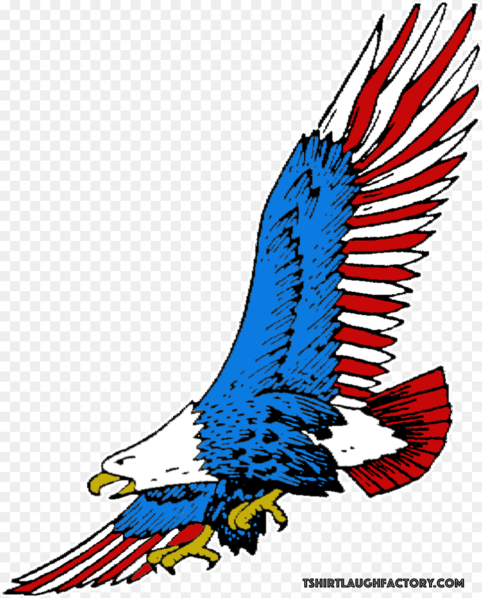 American Eagle Flying T Shirt, Animal, Bird, Parrot Png Image