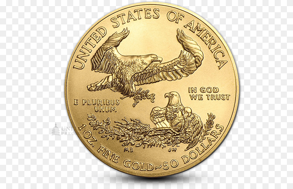 American Eagle Gold Coin, Animal, Bird, Money Png Image