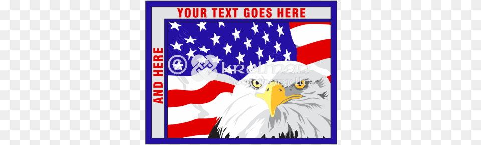 American Eagle Is Not Amused Bear, American Flag, Flag, Animal, Bird Free Transparent Png