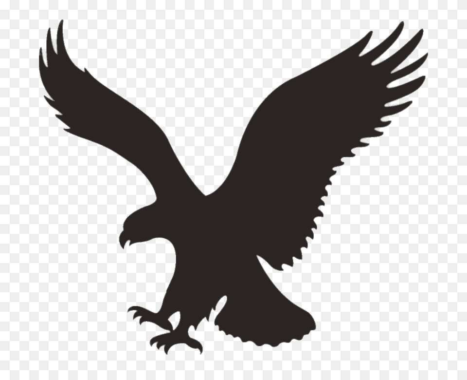 American Eagle Outfitters Bird, Silhouette, Animal, Vulture Free Png