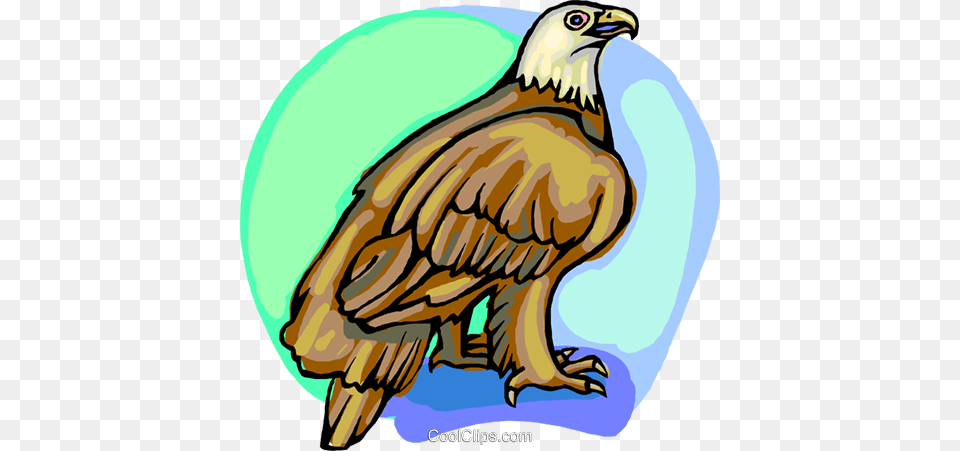 American Eagle Royalty Vector Clip Art Illustration, Animal, Bird, Vulture, Dinosaur Free Png