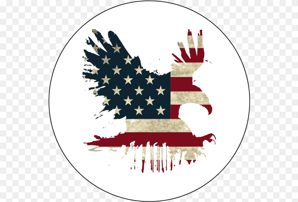 American Eagle T Shirt American Eagle, American Flag, Flag Free Png Download