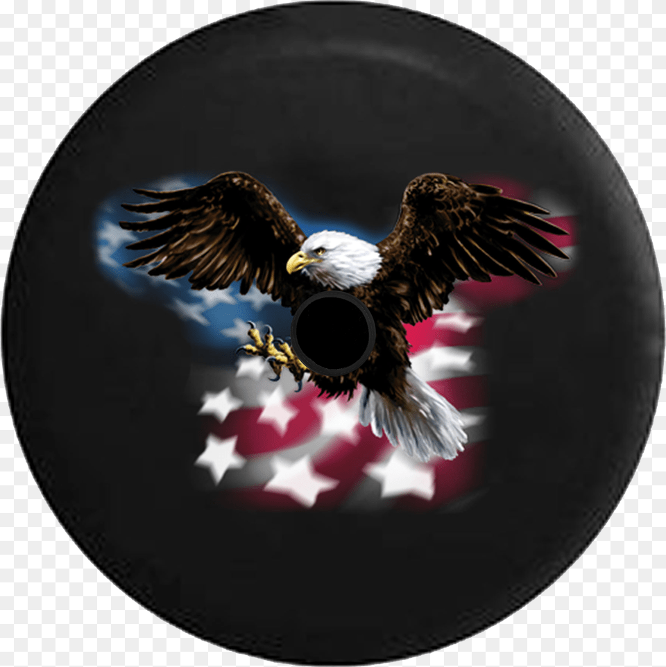American Eagles T Shirt, Animal, Bird, Eagle, Bald Eagle Png