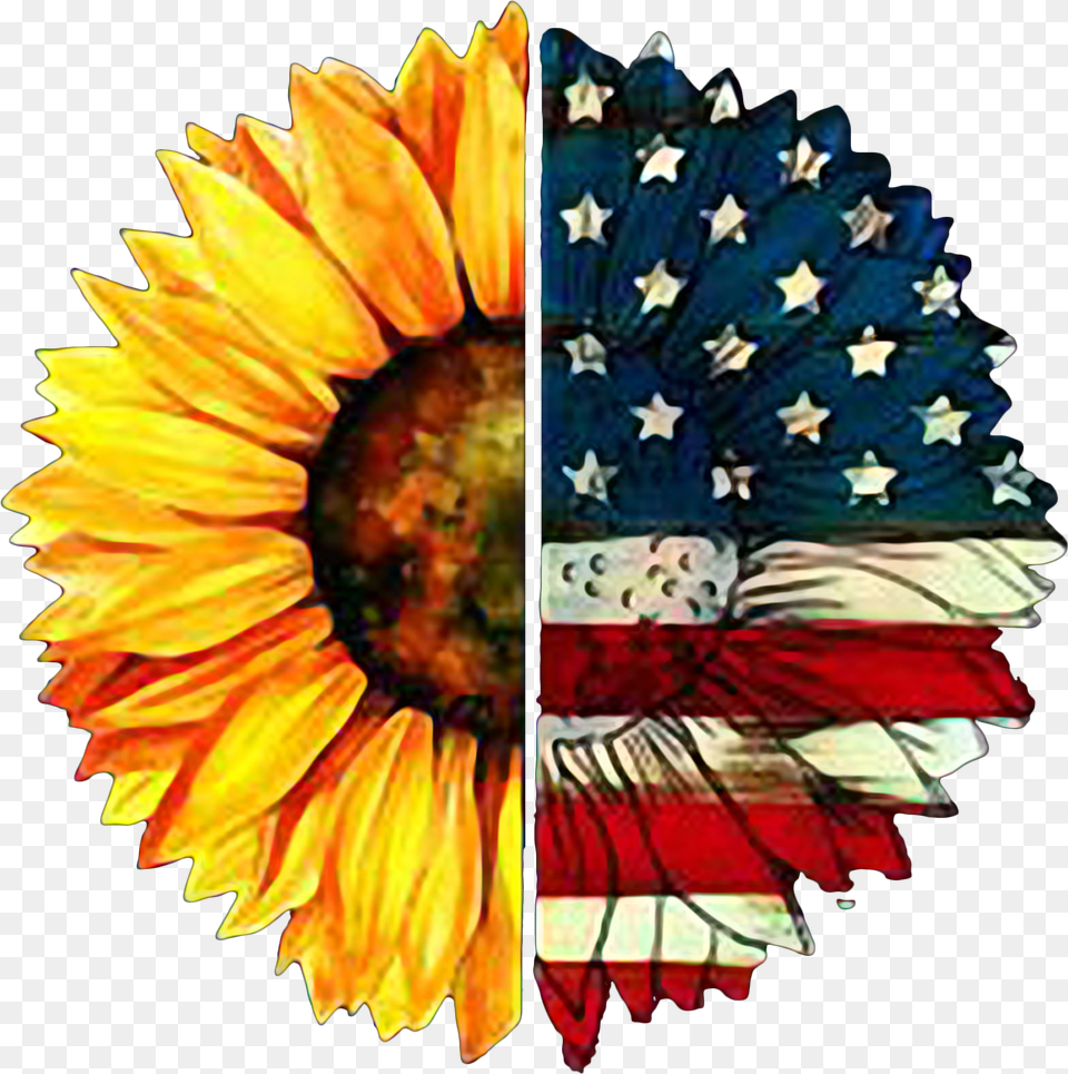 American Flag Free Png Download