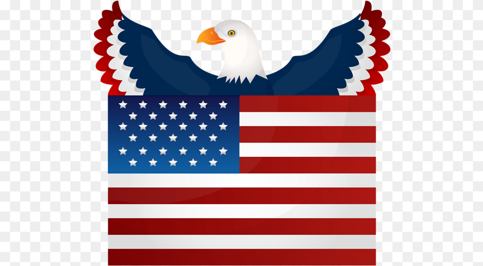 American Flag And Eagle Clip Art Marine Corp Wall Decor, American Flag, Person, Animal, Bird Png