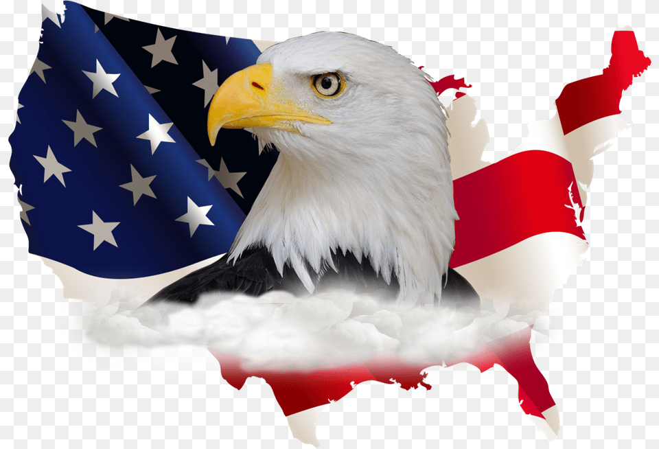 American Flag And Eagle High Resolution American Flag, Animal, Bird, Person, American Flag Png Image
