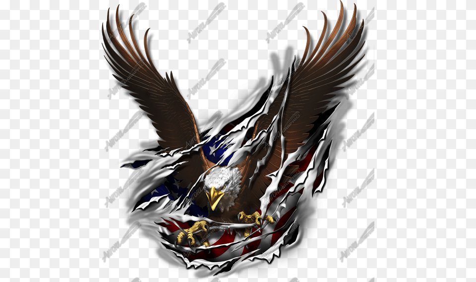 American Flag Eagle Rip, Animal, Bird, Person Free Png Download