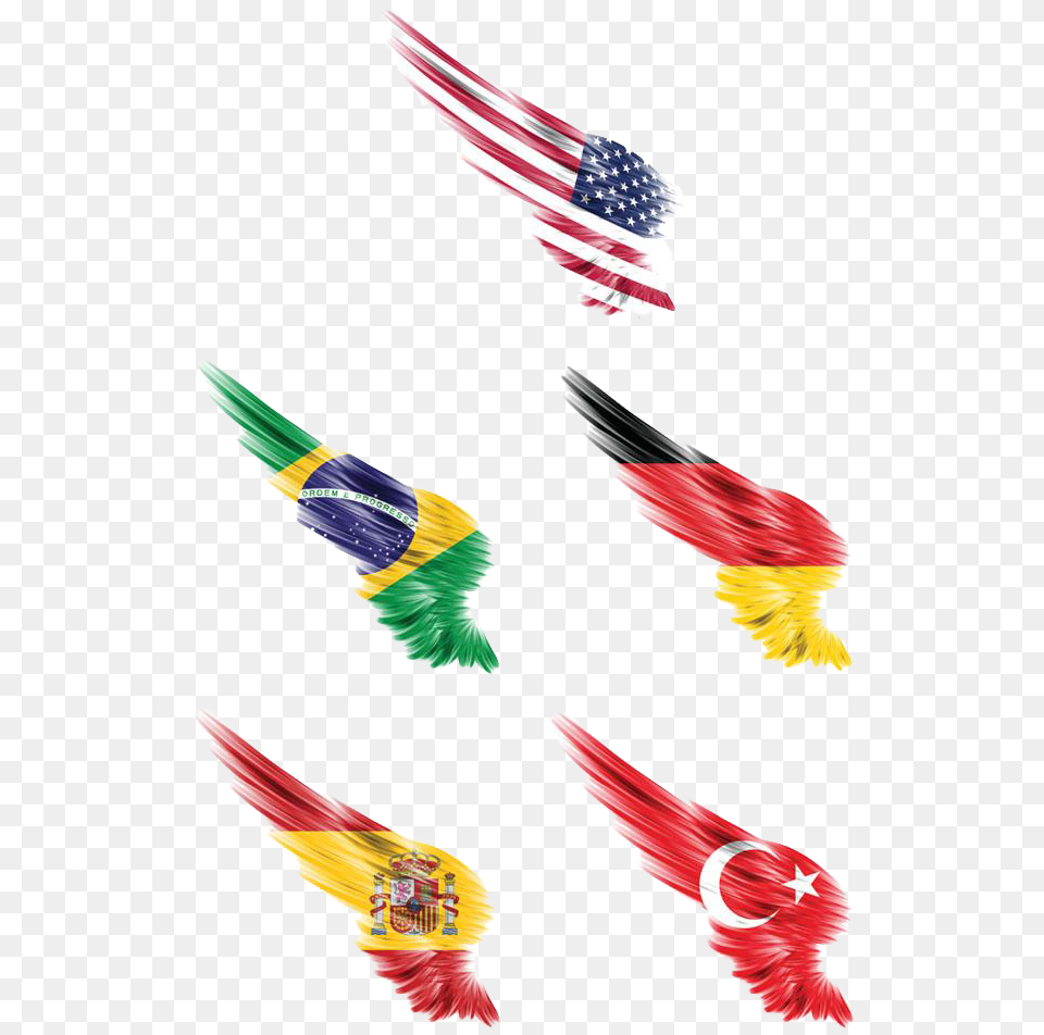 American Flag In Angel Wings, American Flag, Animal, Fish, Sea Life Free Transparent Png