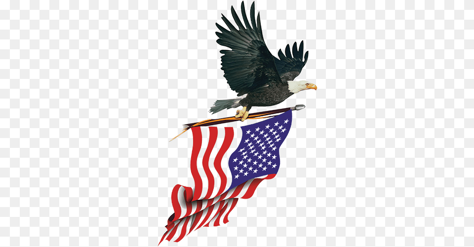 American Flag With Eagle Eagle American Flag, American Flag, Animal, Bird Png Image