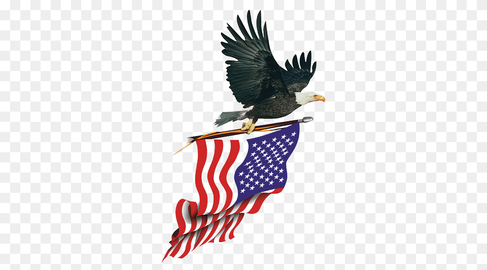 American Flag With Eagle Eagle Carrying American Flag T Shirts, American Flag, Animal, Bird Free Png