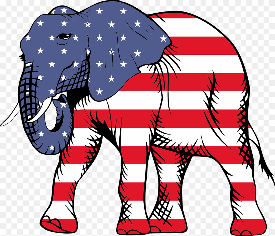 American Flag With Elephant, Baby, Person, Animal, Wildlife Free Png