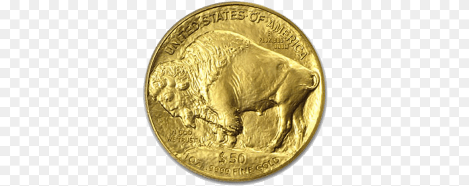 American Gold Buffalo American Buffalo, Coin, Money Free Png Download